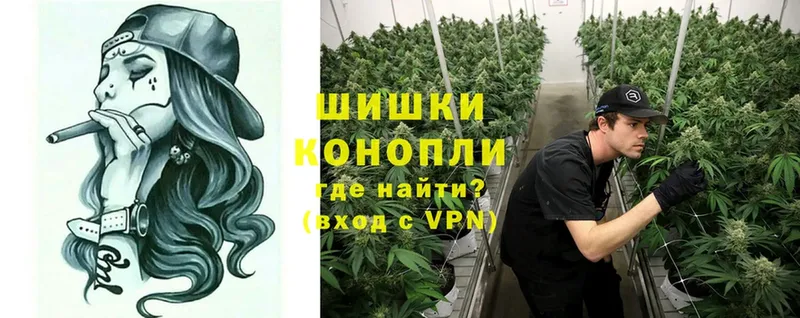 Бошки марихуана OG Kush  ОМГ ОМГ ТОР  Бабаево 